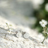 Petite Disc Studs, Sterling silver
