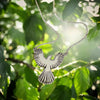 Mockingbird necklace, Sterling Silver